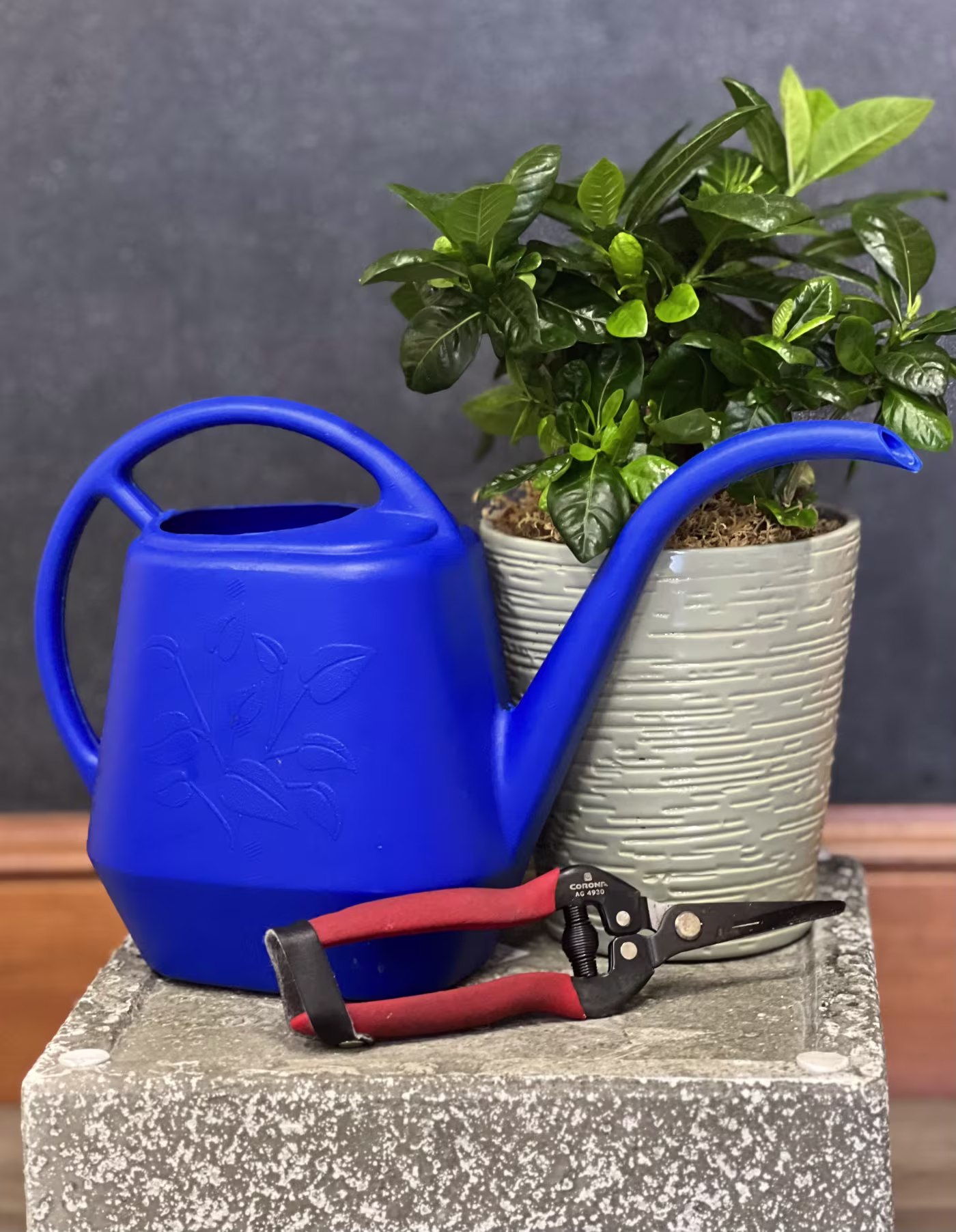 Plant Maintenance